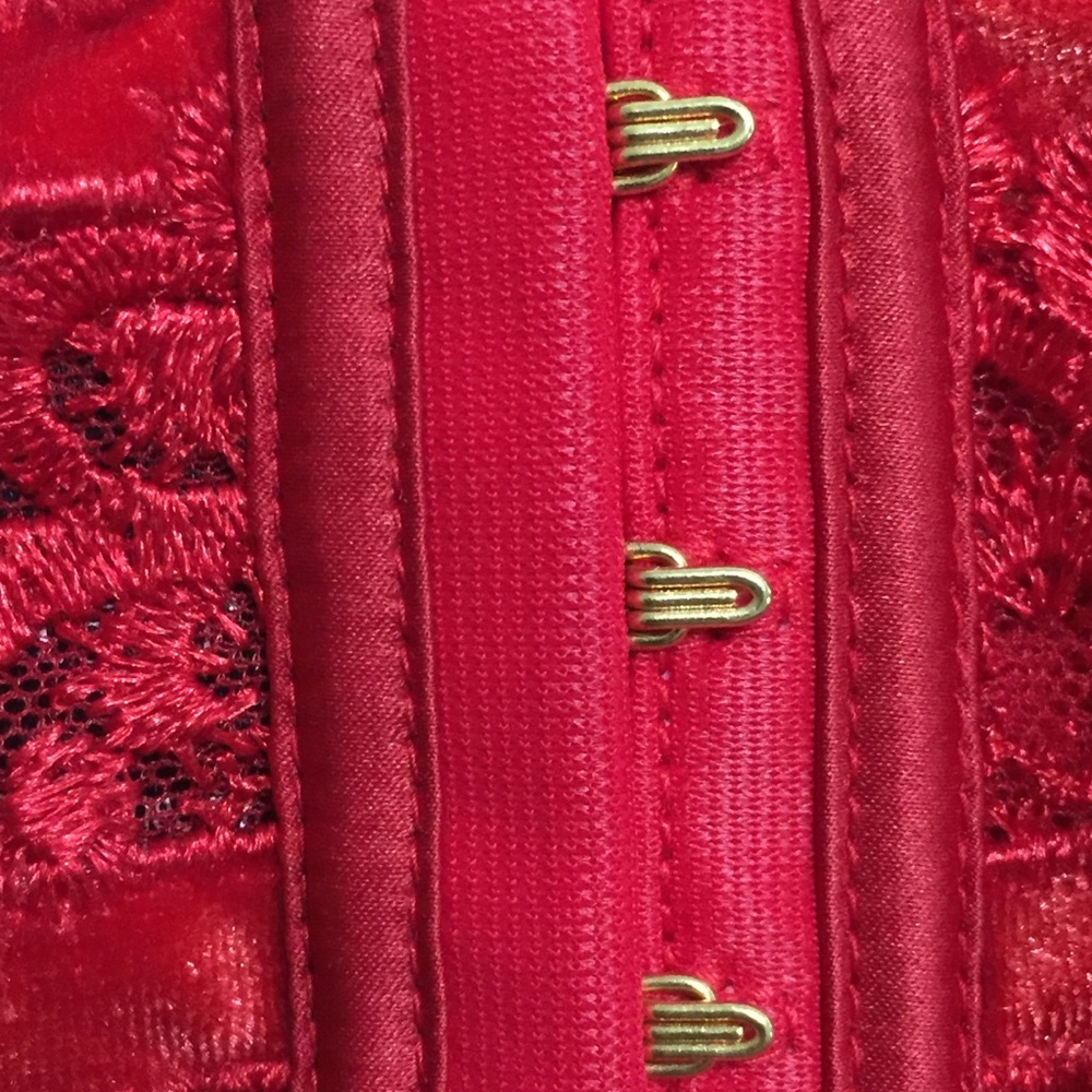 Last One! Red Velvet Trim NWT VS S Midrise Cheeky - Picture 16 of 16